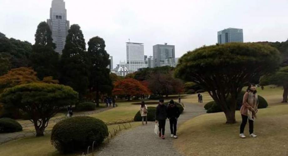 Mijenjanje boja lišća je atrakcija u Shinjuku Gyoen parku.