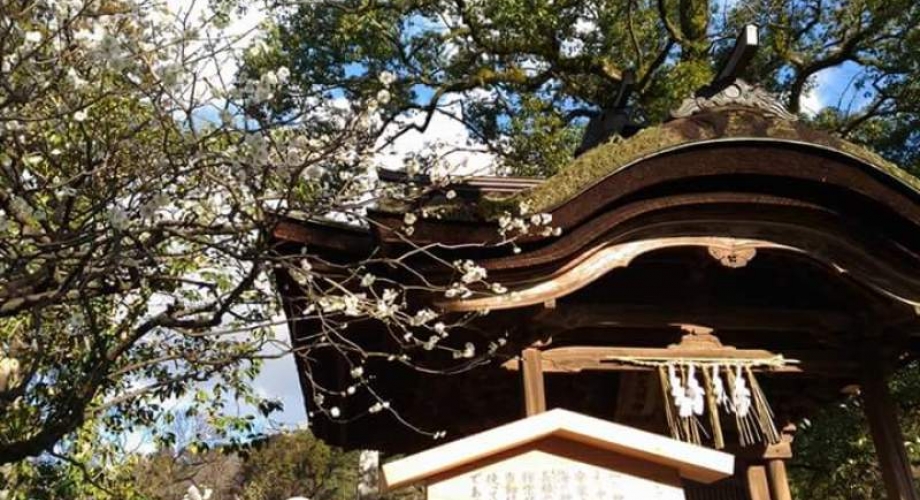 Detalj hrama Dazaifu